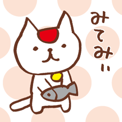 HINOMARU CAT in OOSAKA vol.2