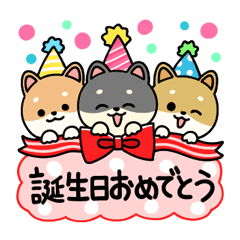 柴犬の誕生日 お祝い ありがとう Line スタンプ Line Store