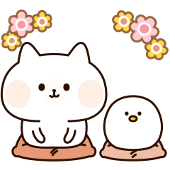 Heartwarming cat and chick