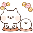 ほのぼのねこひよこ