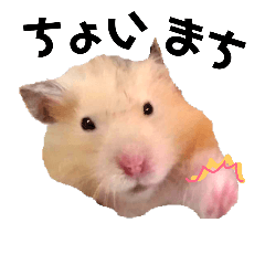 Monpy of Hamster 2