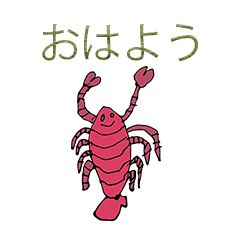 crayfish Polite japanese