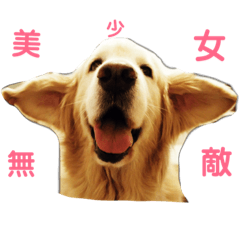 大大粉必買