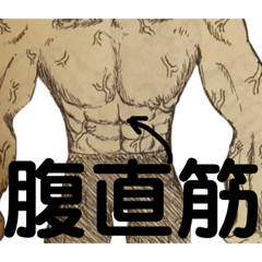 muscle trainer sticker