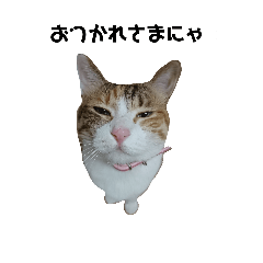 Gozi!