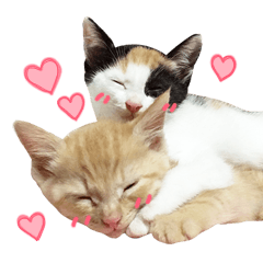Sticker of 2 kittens.