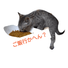 Fumimaru's friends 2