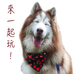 哈利與妹妹