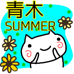 summer aoki