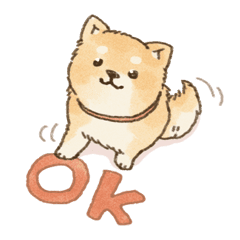 Everyday Shiba Inu Sticker Line Stickers Line Store