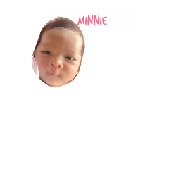 minnie mini