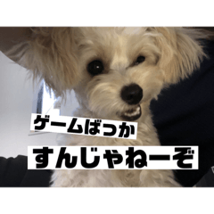 Ume's  daily life