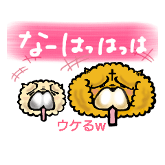 Chow Chow also Fumofu 2