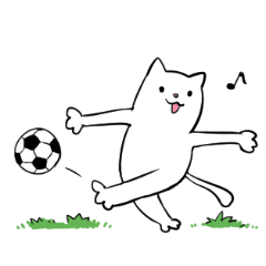 Meow Football Camera 2 (EN)