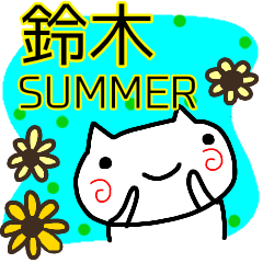 summer suzuki