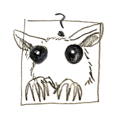 ONLY EYE ANIMAL