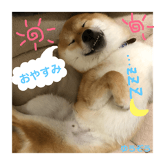 YUZO2