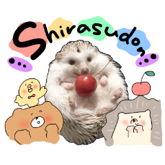 Shirasudon