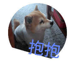 噗噗120