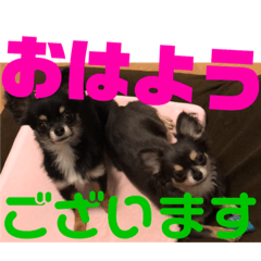 daifukutati..