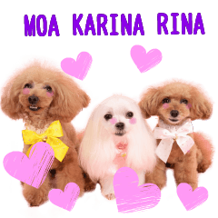 MOA KARINA RINA Sticker