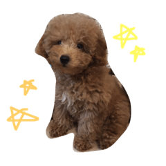 harunecoco
