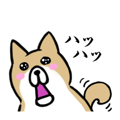 Lovely Shiba Dog Sticker