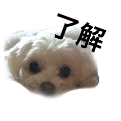MariTiko