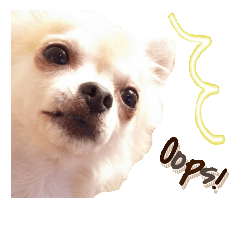 chappys2