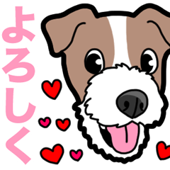 Wanko-Biyori JRT-Jack Russell terrier 7