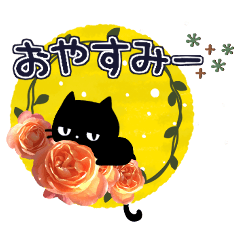 Black cat and rose flowers.