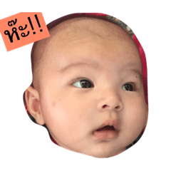 The YEILD