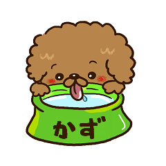 Kazu special toy poo
