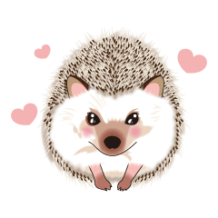 lovely hedgehog!!