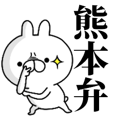 tanuchan Kumamoto rabbit 2