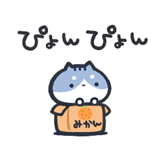 A box cat