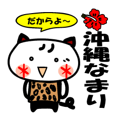 Cat of Okinawa accent.