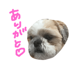 puubebe