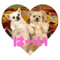 coco &Lilly2