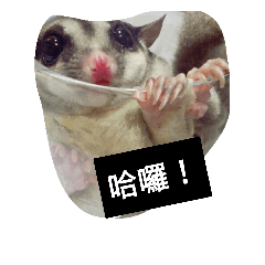 De bo