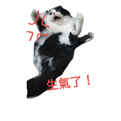 歡歡
