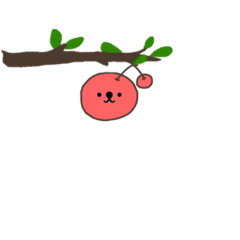 Cherry tree (pink)- Daily -