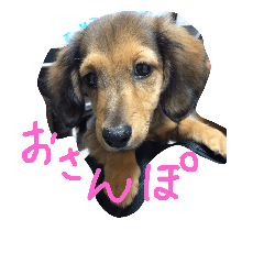 choko1