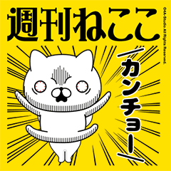 MOVE ! Weekly cat - Everyday feature 2