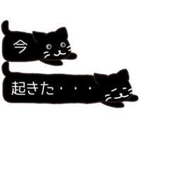 Cat (black) - Daily -