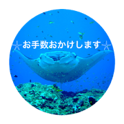 *Miyakoisland4*