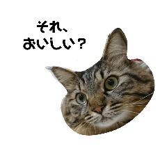 Tokuji!