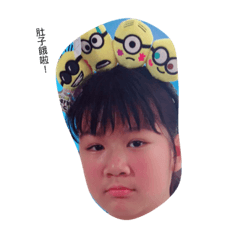 Holle Hi