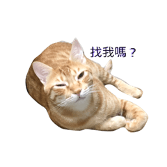 チキンナゲット ブルーの日常 猫 Line スタンプ Line Store