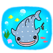 Whale shark in summer.